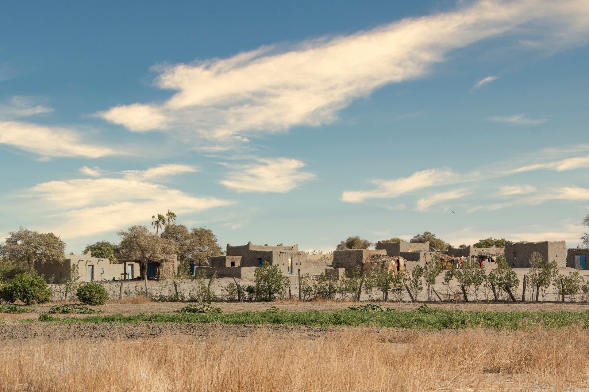 Village in the kanem region, Bahr el Ghazal, Chad