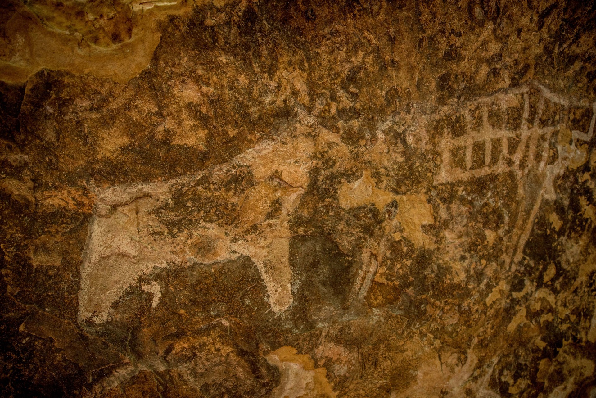 African Bushmen Rock Art